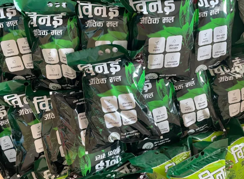 profile-picture